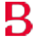 Bridgepoint logo