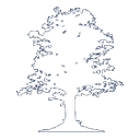 Pemberton Asset Management logo