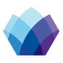 Solomon Partners logo