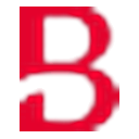 Bridgepoint logo